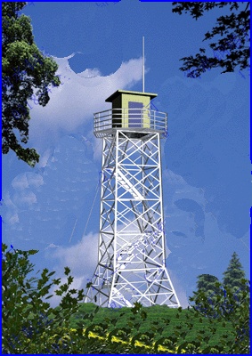 5525479.jpg